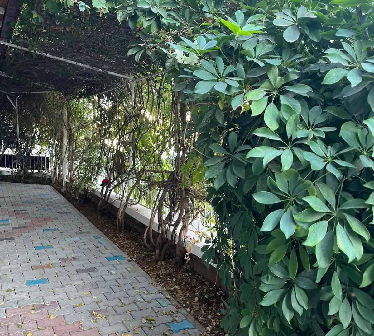 Begonvil Garden Apart Фетхие Апарт-отель