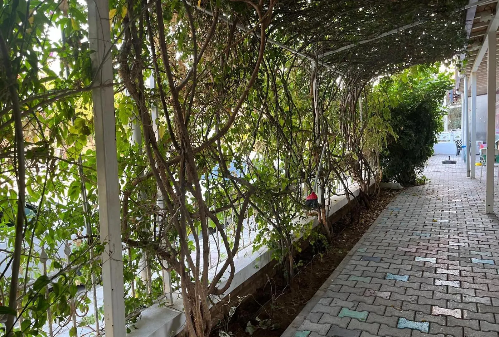 Begonvil Garden Apart Фетхие Апарт-отель