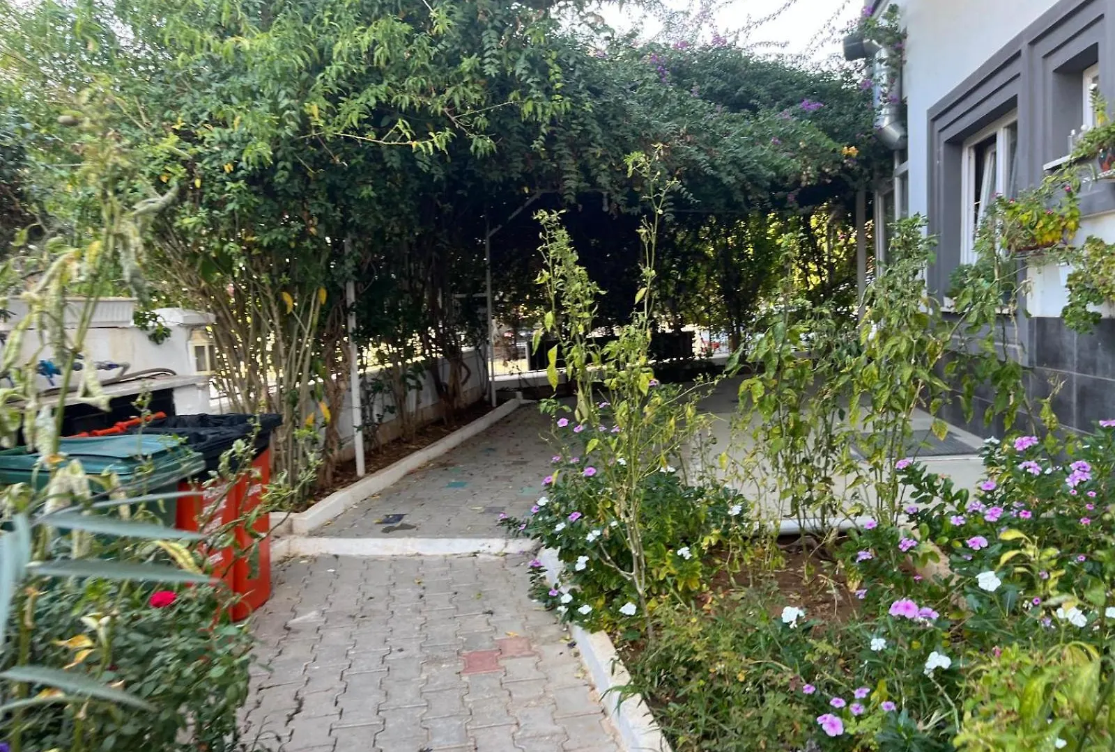 Апарт-отель Begonvil Garden Apart Фетхие Турция